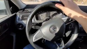 скрип при повороте руля  рапид