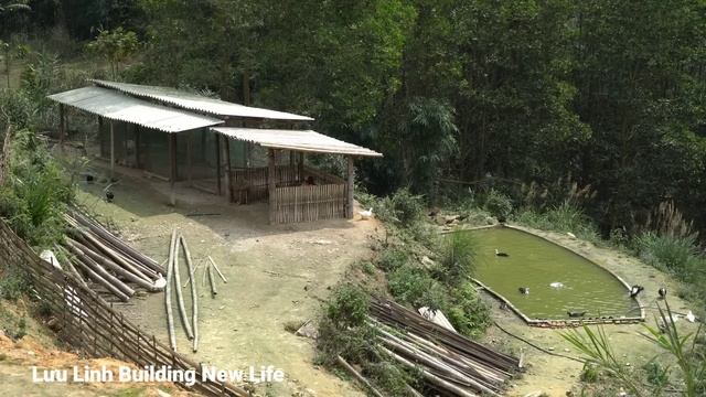 Fertilizing corn plants, Making nests for ducks to lay eggs, planting bamboo for climbing beans смотреть онлайн
