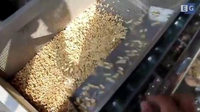 Машина для шелушения арахиса смотреть онлайн