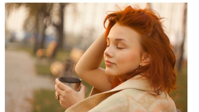 Как найти ответ на любой вопрос смотреть онлайн