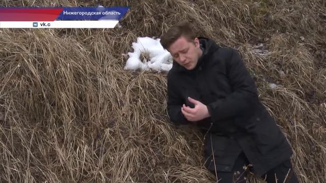 Приложение "Спасатель.Рядом" презентовали в Нижнем Новгороде смотреть онлайн