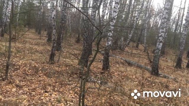 Миссия не выполнима. Анисовых говорушек уже нет. смотреть онлайн