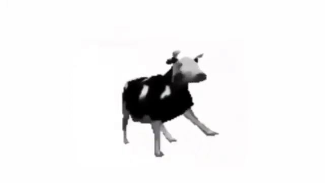 Polish cow живые обои на пк смотреть онлайн
