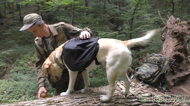 Рюкзак-сумка на собаку Hurtta Outdoors Trail Pack - Вьючная сумка