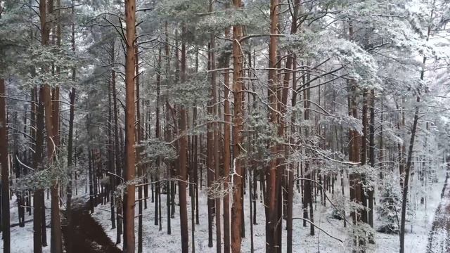 Я купил комнату в малосемейке, а моя девушка меня из неё решила выгнать, даже не став ещё моей жено смотреть онлайн