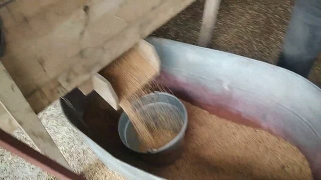 Очистка пшениці млинком.❌ падалішнє зерно дало майже по 30 без вкладань. смотреть онлайн