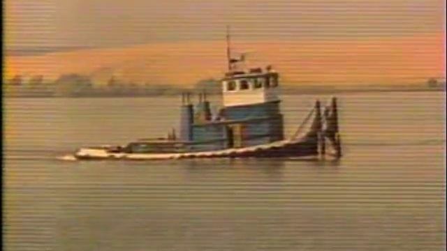 "Humphrey The Whale" News Reports Part 1 of 2 смотреть онлайн