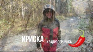 Квадроцикл Стелс Гепард 650 или 850 ? Ваш Выбор? Покатуха в Вешкинском Лесу