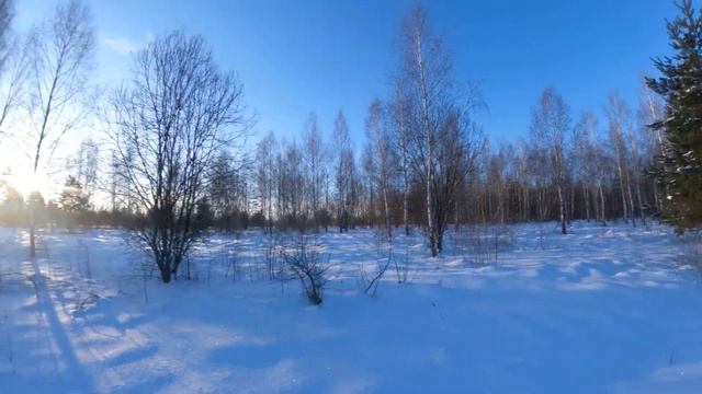 Ходовая охота на тетерева на лунках смотреть онлайн