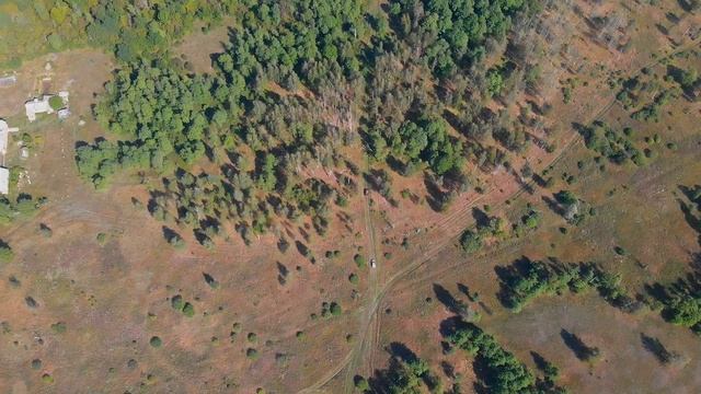 НА КРАЮ ЗЕМЛИ. ✅ Самый дальний уголок дачного поселка. Ровжи. смотреть онлайн