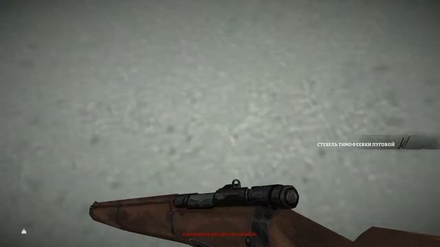 The Long Dark #41 Исследование локации смотреть онлайн