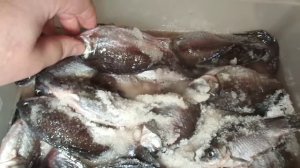 КАК СУШИТЬ РЫБУ В ЭЛЕКТРИЧЕСКОЙ СУШИЛКЕ "Ветерок 2-У" Карась, #КАК ДОМА