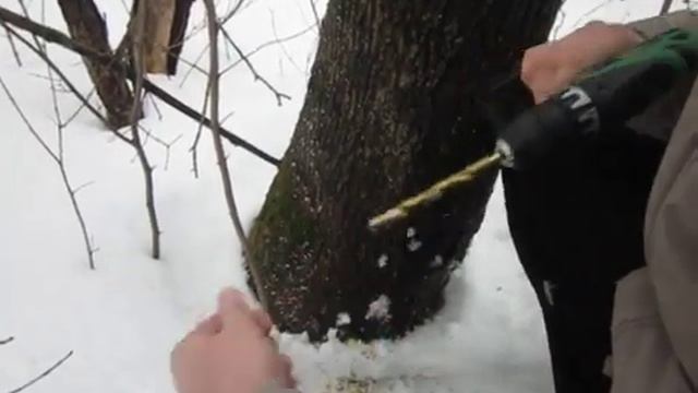 Как быстро набрать Кленовый, Березовый сок смотреть онлайн