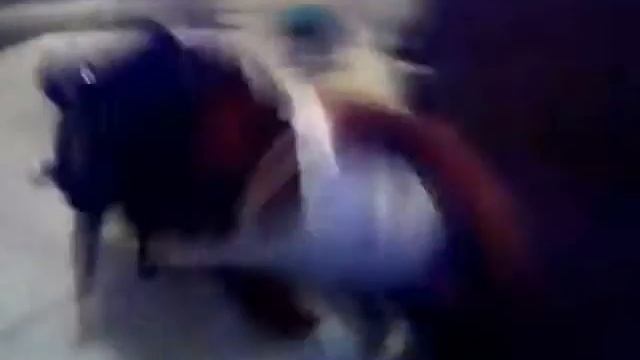 Copy of Tanyia fight vs java смотреть онлайн