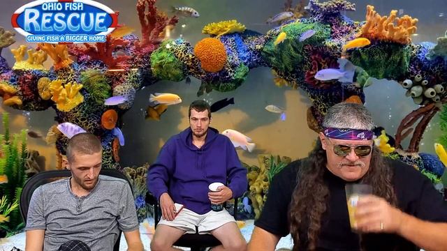 Stay Fishy Friday, Tracy update, we talk about Our nurse Mara and how our water so clear 09/10//2 смотреть онлайн