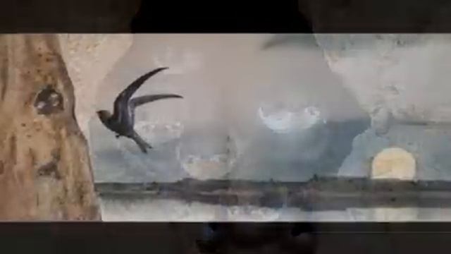 Стрижонок Скрип смотреть онлайн