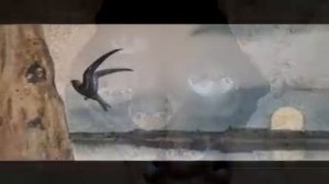 Стрижонок Скрип