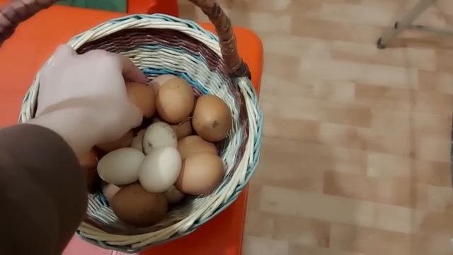 ВЛОГ: Наконец-то получилось / Снова спор / Ремонт / Будни смотреть онлайн