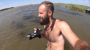 Поездка на лотосовые поля в Астрахани