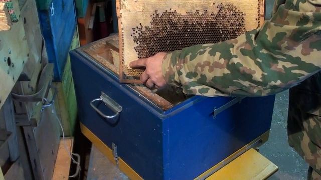 Сборка гнезда пчёл в зиму. Как собрать гнёзда пчёл к зимовке. Вентиляция улья зимой. смотреть онлайн