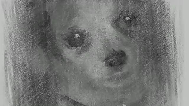 Собака смотреть онлайн