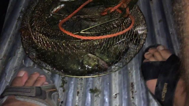 Утро в Москве с Вячеславом - рыбалка в Астрахани, Сентябрь 2014 года смотреть онлайн