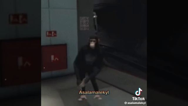 037ef9241824765b83d74147c35272cf.mp4