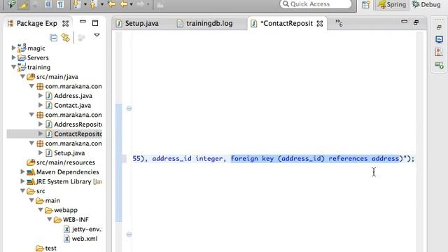 Java Web Development with Spring and Hibernate 3 смотреть онлайн
