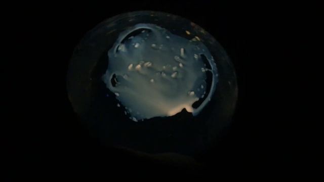 ЧТО ВНУТРИ НЕОНОВЫХ ПАЛОЧЕК! смотреть онлайн