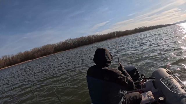 Как поймать МНОГО РЫБЫ за один день #рыбалканадону #дон #сазан #поклевка #калач #ловля_рыбы #рыба смотреть онлайн