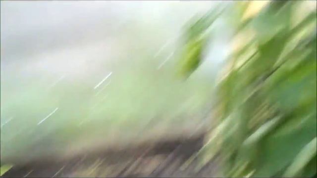 УРАЛ У СТЬ КИШЕРТЬ У КЛАВДИИ В ОГОРОДЕ смотреть онлайн