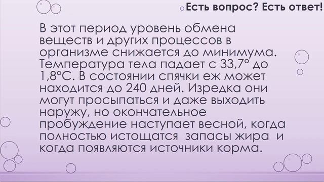 Где живут белые медведи? [78]