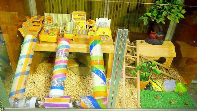 Бамбуковые МЫШКИ и их ИГРОВАЯ КОМНАТА / мышки играют смотреть онлайн