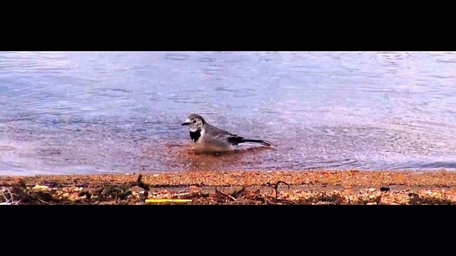 4 финалмонтаж маска / Байкал соц. ролик смотреть онлайн