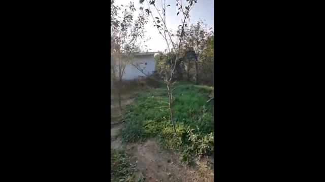 Дача в Анапе смотреть онлайн
