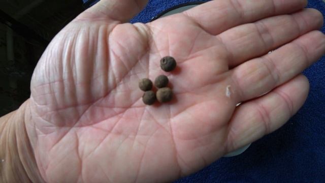 скумбрия маринованная по фински, лучшее украшение Новогоднего стола, да и любого праздника)))) смотреть онлайн