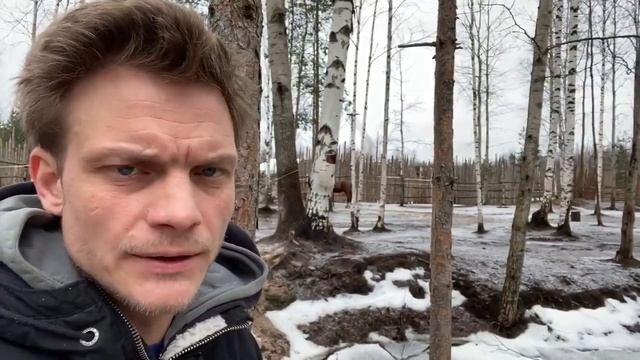 До конца сбора на Planeta ru 5дней! смотреть онлайн