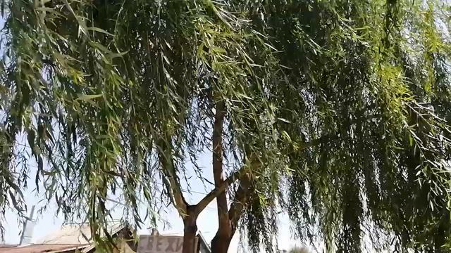 12 июля 2020 г Волгоград смотреть онлайн