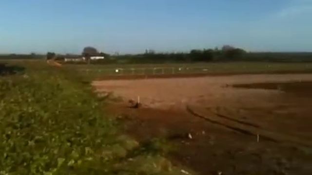 PF International Kart Circuit смотреть онлайн