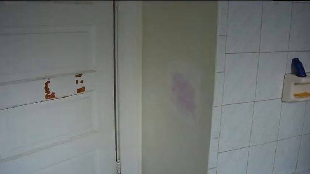 WallPerfect смотреть онлайн