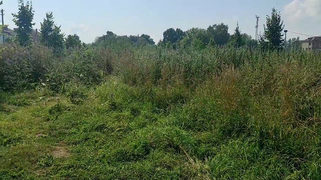 поселок Куровской сегодня смотреть онлайн