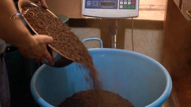 HINDIBA /طريقة تحضير الهندباء ممزوجة بالقهوة للحماصين لانتاج عبوة 250 غرام للاستعمال المنزلي смотреть онлайн