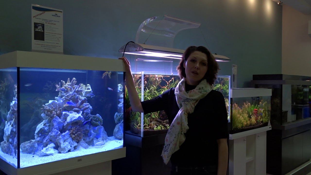 Комплект аквариум с тумбой Juwel Lido со скидкой 40%! смотреть онлайн