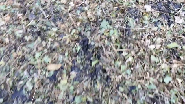 Просто выходной день. Лес. речка . рыбаки . смотреть онлайн