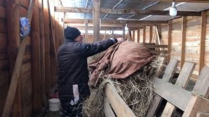 КУПИЛИ ДОМ! СТОИМ ЛЮБУЕМСЯ! БУДНИ НА ФЕРМЕ! СТРОИМ ФЕРМЕРСКОЕ ХОЗЯЙСТВО С НУЛЯ! НАШИ КУРЫ ЗАНЕСЛИСЬ