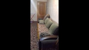 Продам квартиру в Солнечногорске
