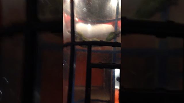 Аэротруба в Люблино смотреть онлайн