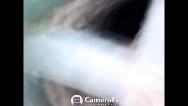 Эндоскоп из AliExpress. Обзор и тест