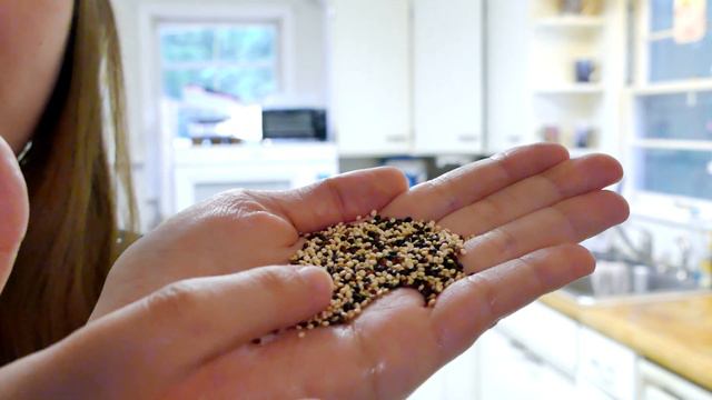 Watch It Sprout! (Quinoa) Kids Find Truth смотреть онлайн