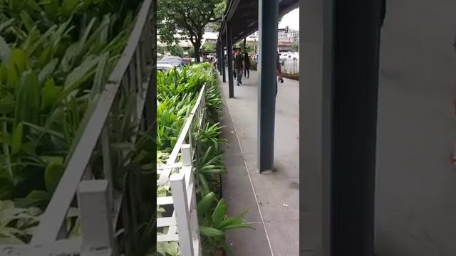 life vlog. errands, ayala avenue, mcdonald’s смотреть онлайн